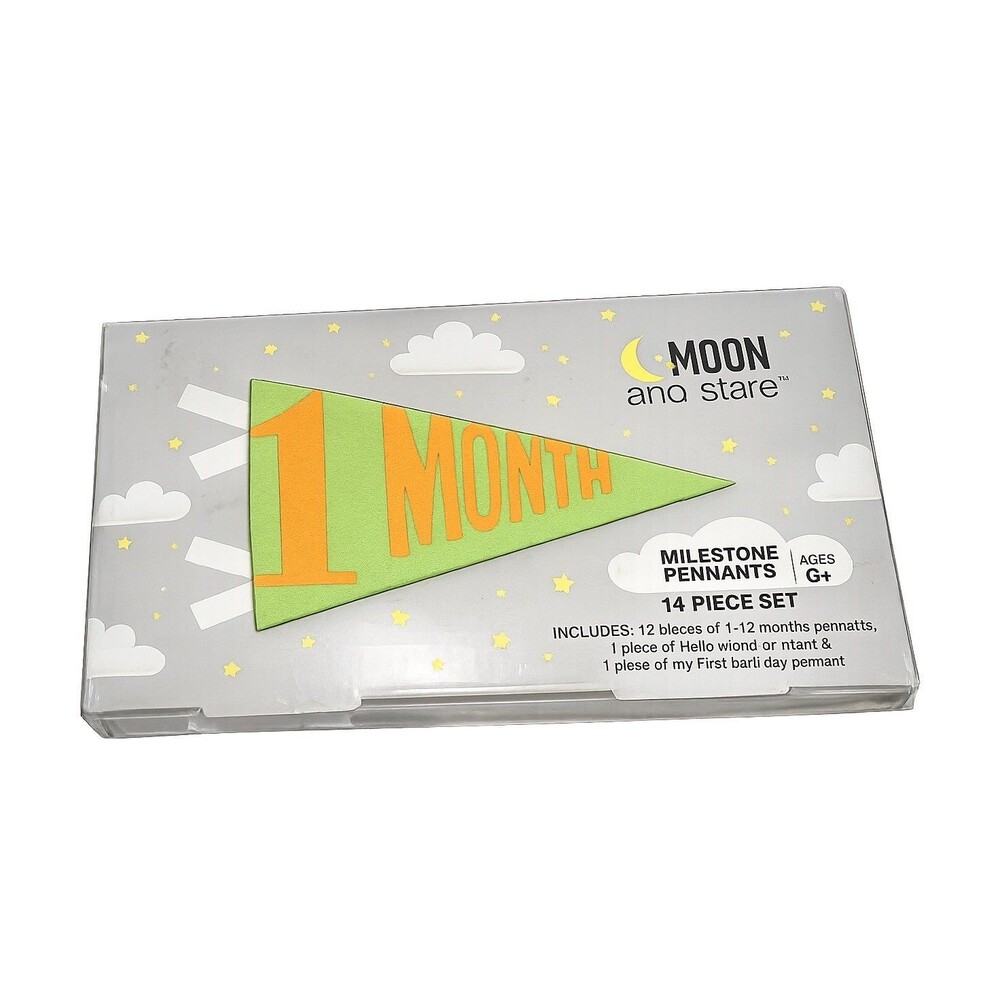 Moon and Stars Paper Milestone Pennant Set 14pc 0-12 Months 1st Birthday